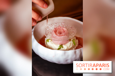 Rivages restaurent de la mer du Scribe Opéra Paris 9e, les photos - rhubarbe