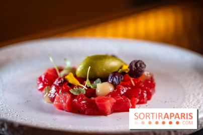 Rivages restaurent de la mer du Scribe Opéra Paris 9e, les photos - tartare de thon