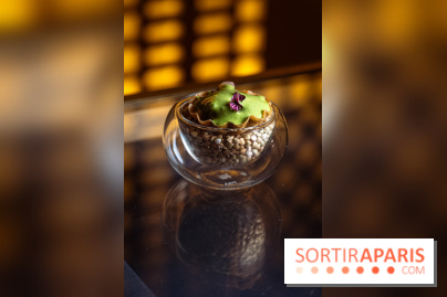 Rivages restaurent de la mer du Scribe Opéra Paris 9e, les photos - amuse bouche