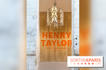Exposition Henry Taylor au Musée Picasso - IMG 6004
