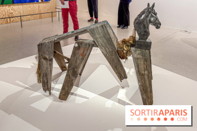 Exposition Henry Taylor au Musée Picasso - IMG 6008