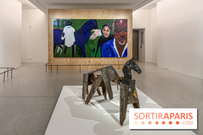 Exposition Henry Taylor au Musée Picasso - IMG 6013