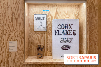 Exposition Henry Taylor au Musée Picasso - IMG 6053