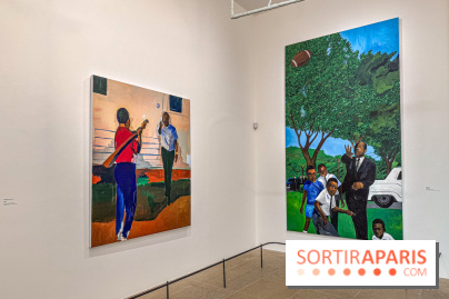 Exposition Henry Taylor au Musée Picasso - IMG 6108