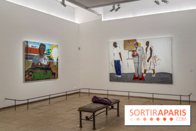 Exposition Henry Taylor au Musée Picasso - IMG 6149