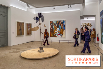 Exposition Henry Taylor au Musée Picasso - IMG 6191