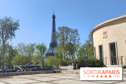 Le musée d'art moderne et ses collections à Paris