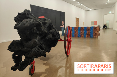 Le musée d'art moderne et ses collections à Paris