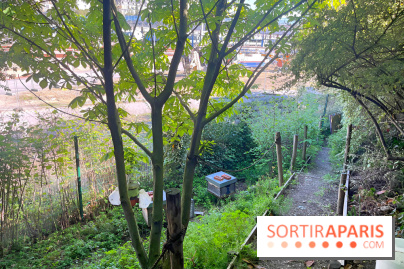 Shakirail, le lieu de travail avec programmation dédiée à la création émergente à Paris - IMG 7125