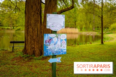 Château de Courson et son domaine : Parc Botanique et Jardin Remarquable en Région Parisienne  - A7C02966