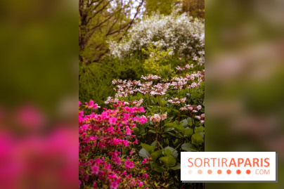 Château de Courson et son domaine : Parc Botanique et Jardin Remarquable en Région Parisienne  - A7C02953