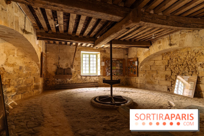 Château de Courson et son domaine : Parc Botanique et Jardin Remarquable en Région Parisienne  - A7C03070