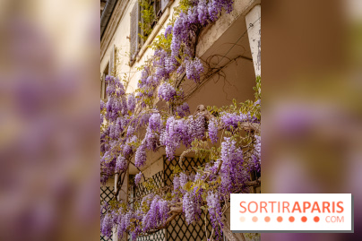 Château de Courson et son domaine : Parc Botanique et Jardin Remarquable en Région Parisienne  - A7C03024