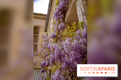 Château de Courson et son domaine : Parc Botanique et Jardin Remarquable en Région Parisienne  - A7C03026