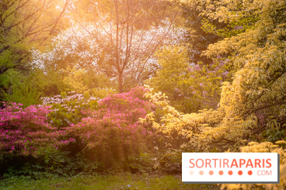 Château de Courson et son domaine : Parc Botanique et Jardin Remarquable en Région Parisienne  - A7C02951 Edit