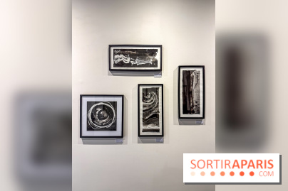 Fantôme à la galerie La Lison : exposition Avant les cendres