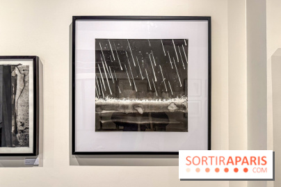 Fantôme à la galerie La Lison : exposition Avant les cendres - IMG 6200