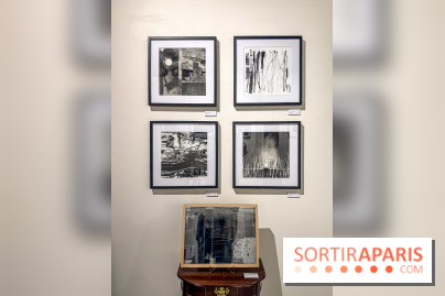 Fantôme à la galerie La Lison : exposition Avant les cendres