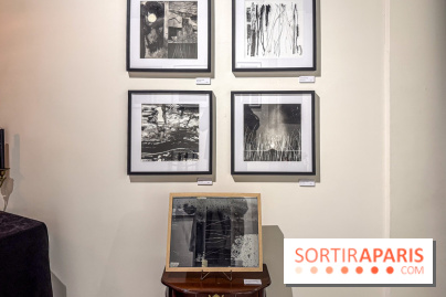 Fantôme à la galerie La Lison : exposition Avant les cendres