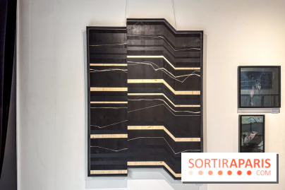 Fantôme à la galerie La Lison : exposition Avant les cendres - IMG 6211