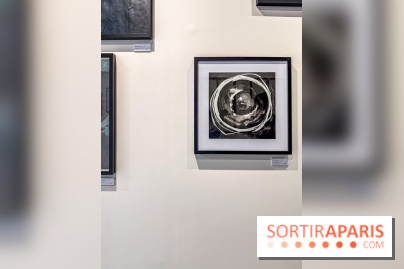 Fantôme à la galerie La Lison : exposition Avant les cendres - IMG 6213