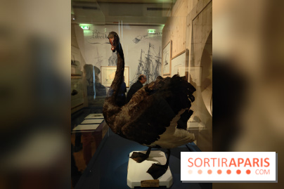 Explorateurs, une exposition du musée de l'armée