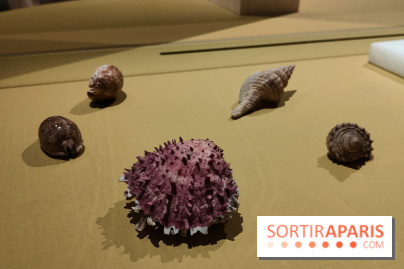 Explorateurs, une exposition du musée de l'armée