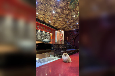 Chinatown - image00001