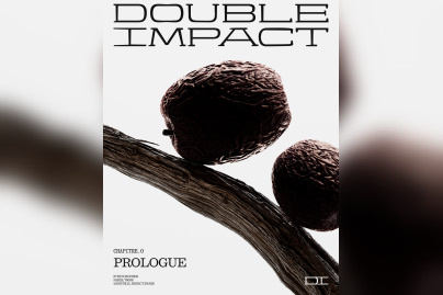Restaurant Double Impact