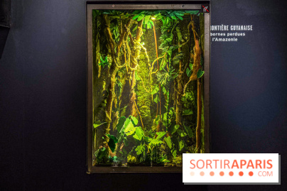 Exposition Frontière à la Cité des sciences : comprendre les frontières dans le monde - IMG 6393