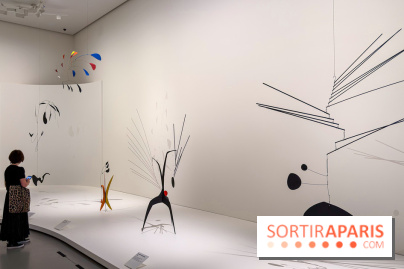 Calder. Rêver en Équilibre : l'exposition retrospective du  - IMG 3105