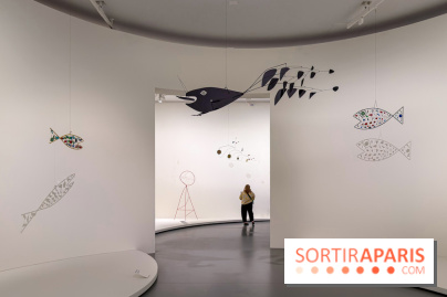 Calder. Rêver en Équilibre : l'exposition retrospective du  - IMG 3136