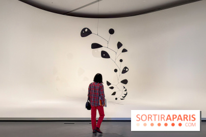 Calder. Rêver en Équilibre : l'exposition retrospective du  - IMG 2716