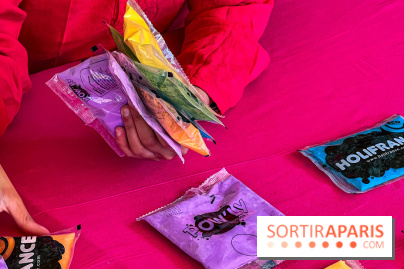 HOLI 2026 au Jardin d'Acclimatation : la fête indienne des couleurs est de retour à Paris