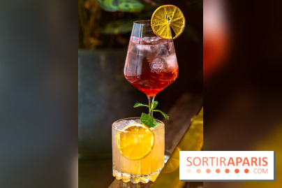 Le Drouant, l'incontournable restaurant parisien - photos  - A7C00327