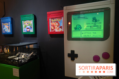 Admirez-les tous, Pokémon à l'honneur dans une exposition ludique et régressive au musée en Herbe - fotor 1776253268884