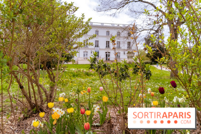 Le Château de Buc et son superbe domaine, parc paysagé aux nombreux trésors - A7C03140