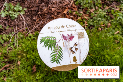 Le Château de Buc et son superbe domaine, parc paysagé aux nombreux trésors - A7C03145