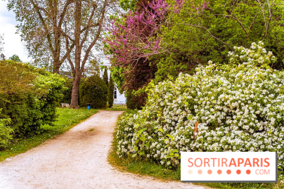 Le Château de Buc et son superbe domaine, parc paysagé aux nombreux trésors - A7C03153