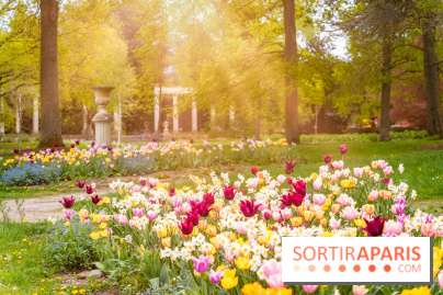 Le Château de Buc et son superbe domaine, parc paysagé aux nombreux trésors - A7C03157 Edit