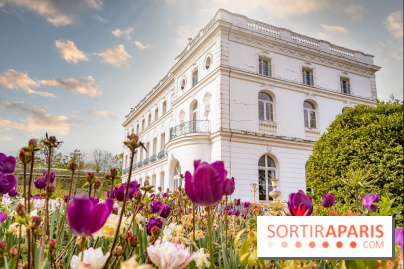 Le Château de Buc et son superbe domaine, parc paysagé aux nombreux trésors - A7C03222 Edit