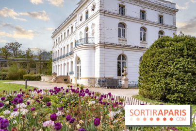 Le Château de Buc et son superbe domaine, parc paysagé aux nombreux trésors - A7C03221 Edit copie