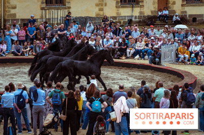 Week-end de reconstitutions desséjours de Marie-Antoinette et Louis XVI à Fontainebleau en photos