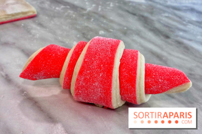 Atelier croissant bicolore - IMG 5395