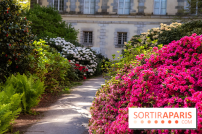 Parc et Jardins du Château de Fontainebleau - les photos