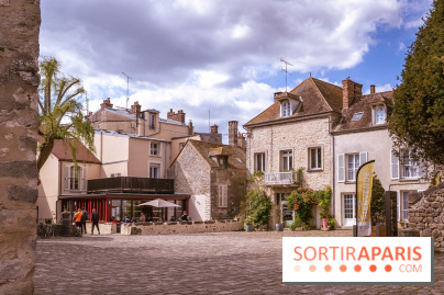 Château Musées de Nemours en Seine-et-Marne - photos - A7C04866