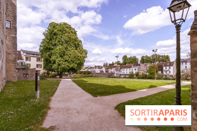 Château Musées de Nemours en Seine-et-Marne - photos - A7C04864