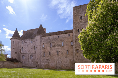 Château Musées de Nemours en Seine-et-Marne - photos