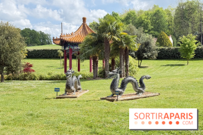 ZooParc de Beauval et Hôtel Les Pagodes de Beauval - IMG 5317