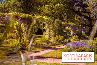 Le Parc des Ibis au Vésinet dans les Yvelines en Région Parisienne - photos  - A7200695
